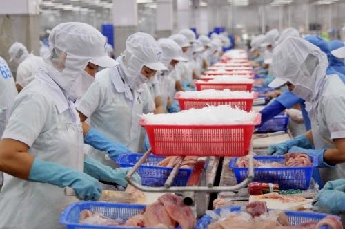 10 sự kiện nổi bật của xuất khẩu thủy sản Việt Nam năm 2019