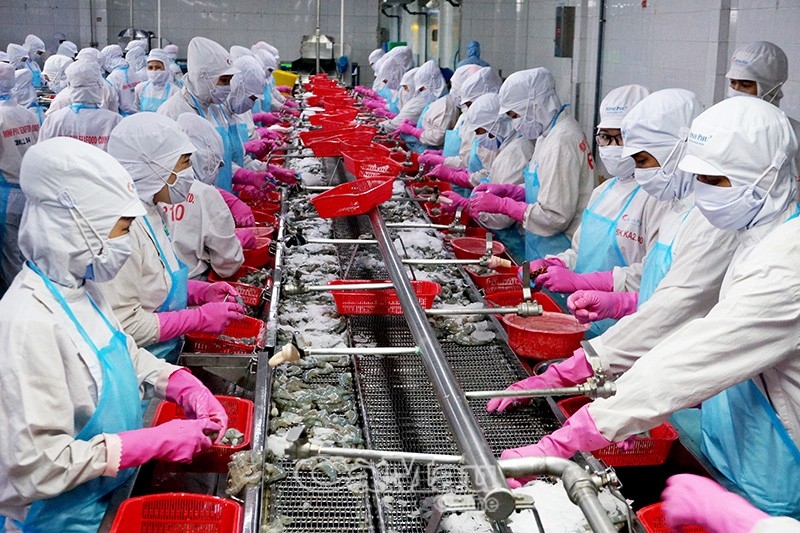 VN shrimp exports increase positively, expected to reach $ 3.6 billion in 2020