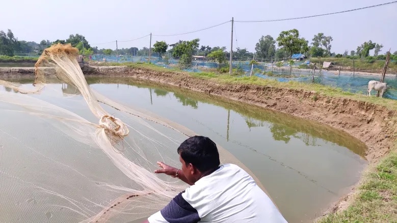 Shrinking prospects for shrimp farmers as India faces a global slump