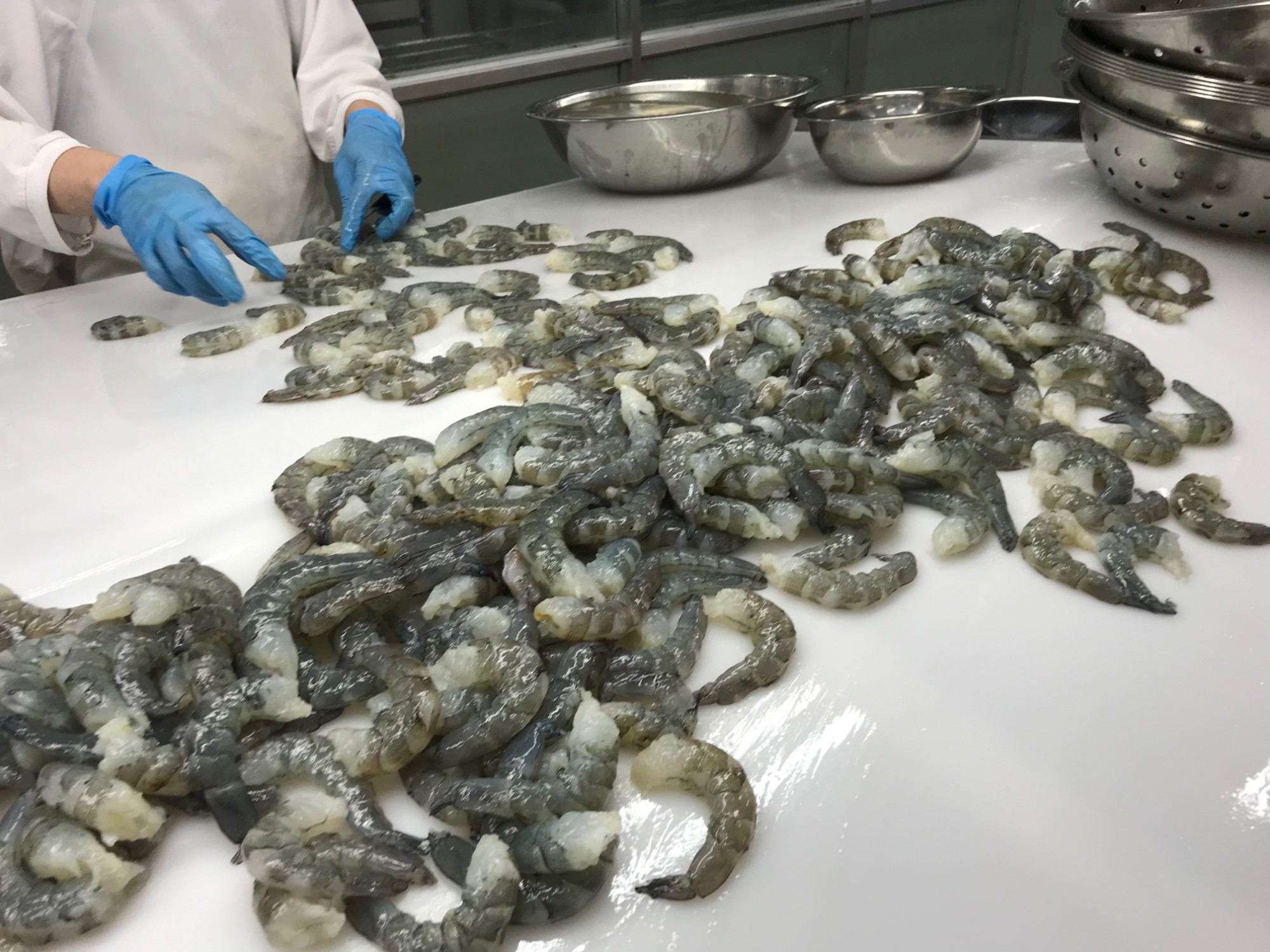 Storms in the shrimp industry may last in 2024