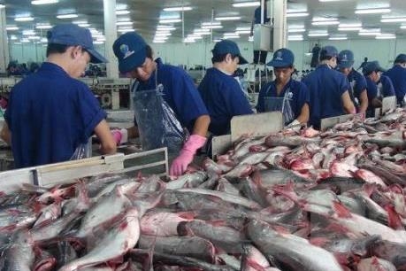 Số liệu ngành thủy sản Việt Nam năm 2019