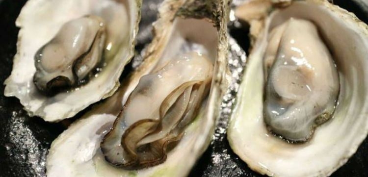 Japanese oyster fishery now MSC certified