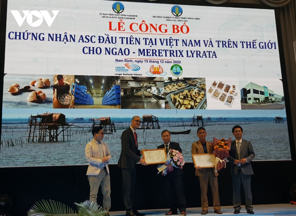 Chứng nhận ASC đầu tiên tại Việt Nam và trên thế giới cho ngao Meretrix Lyrata