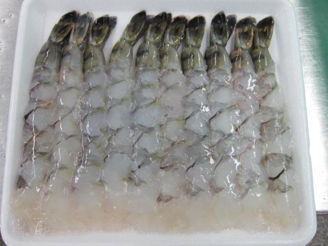 FROZEN RAW PTO NOBASHI BLACK TIGER PRAWN