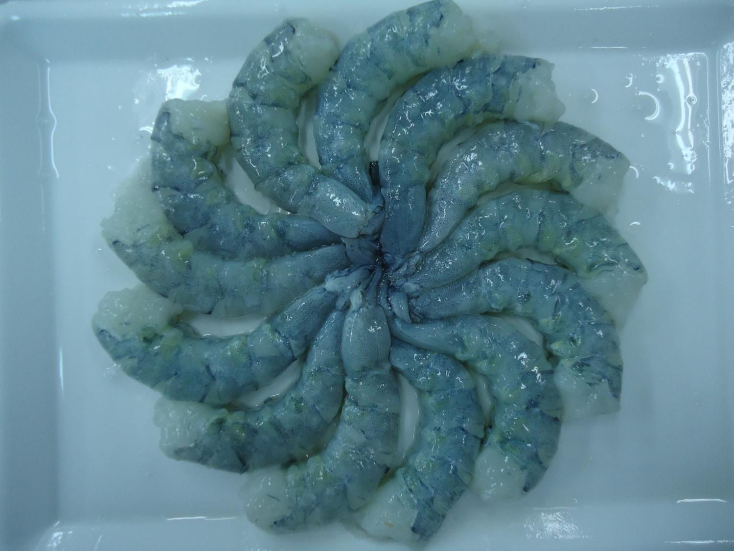 Frozen Raw Pd Vannamei Prawn